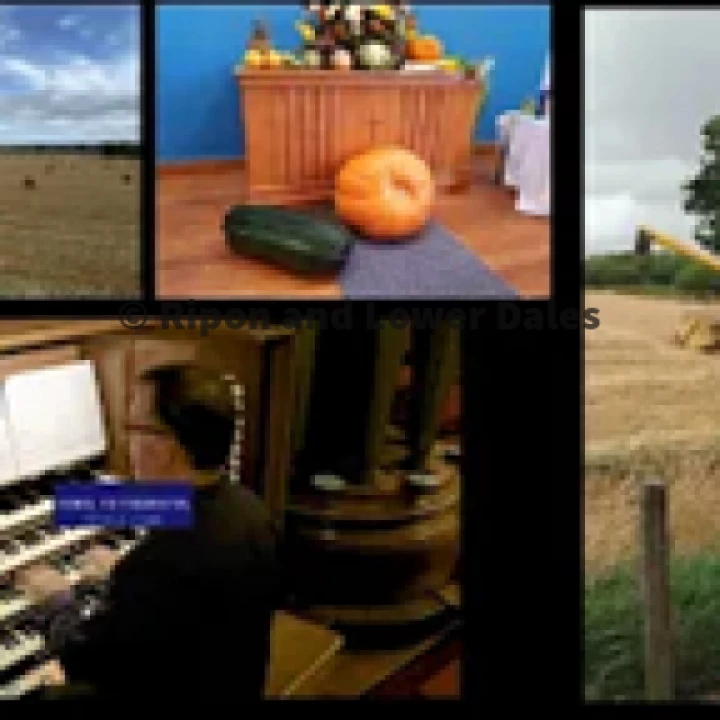Harvest 2020