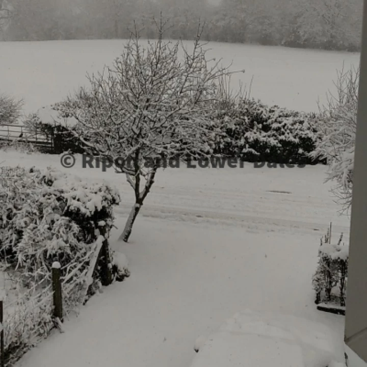 View from the office window