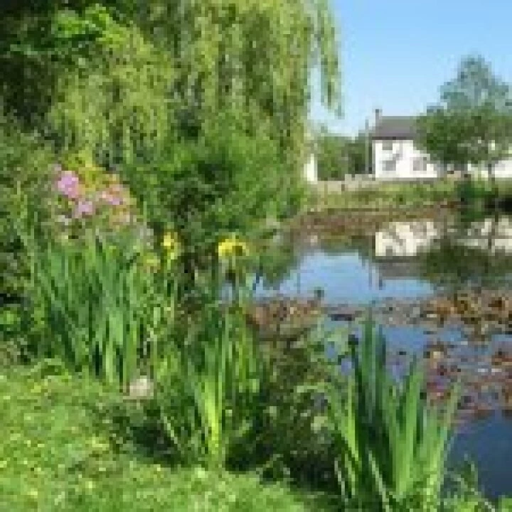 Hankelow Green