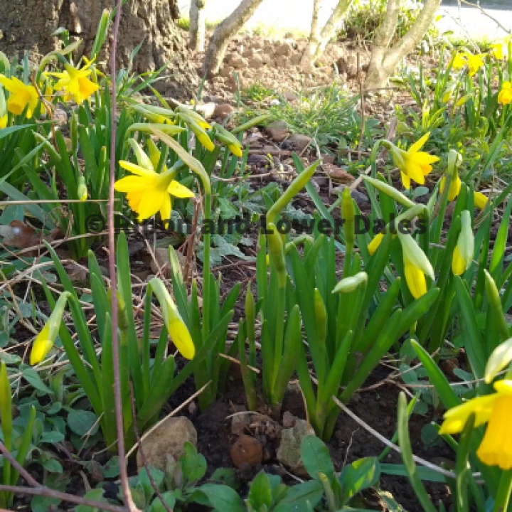 tete a tete (2)