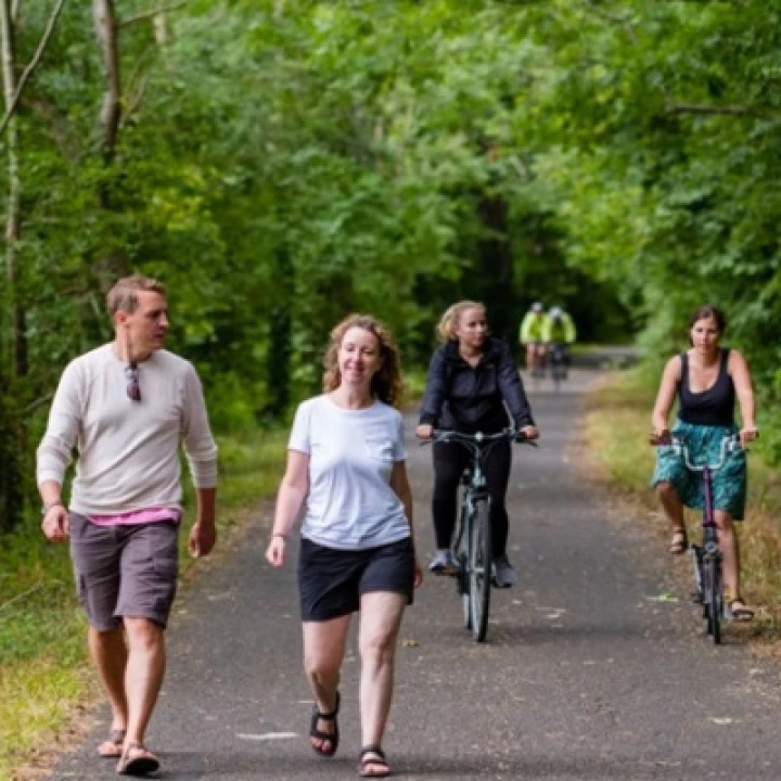 Safe Walking & Cycling