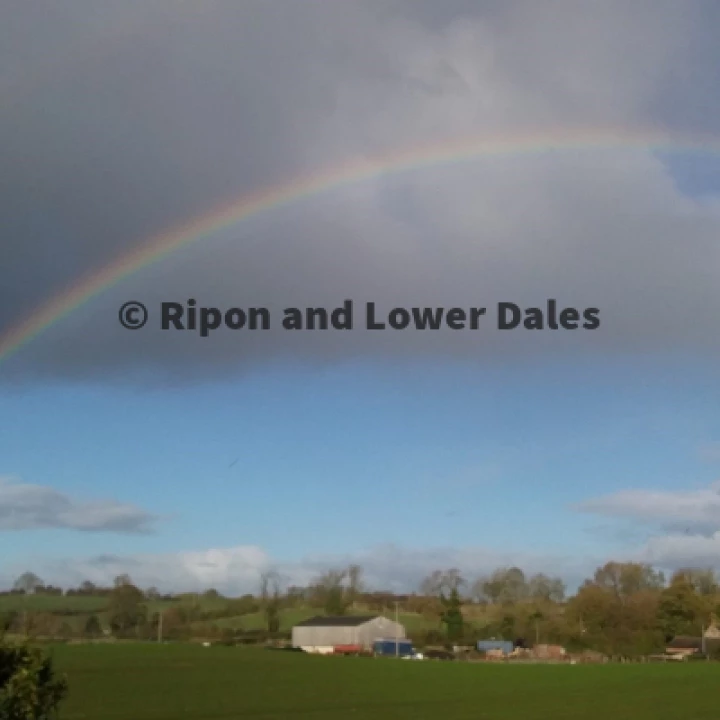 rainbow (2)
