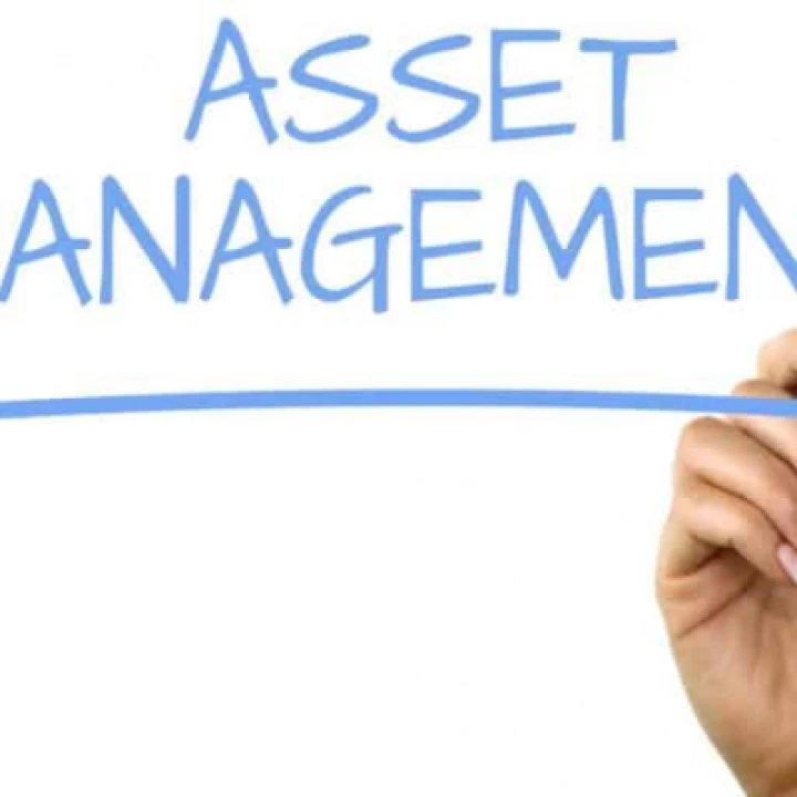 asset-management-768x512