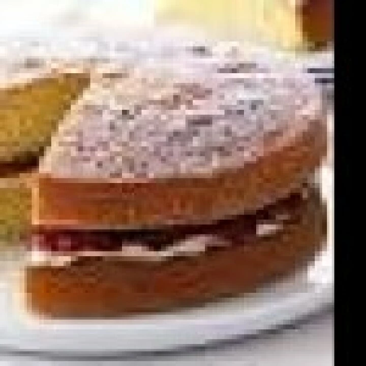 vic sponge