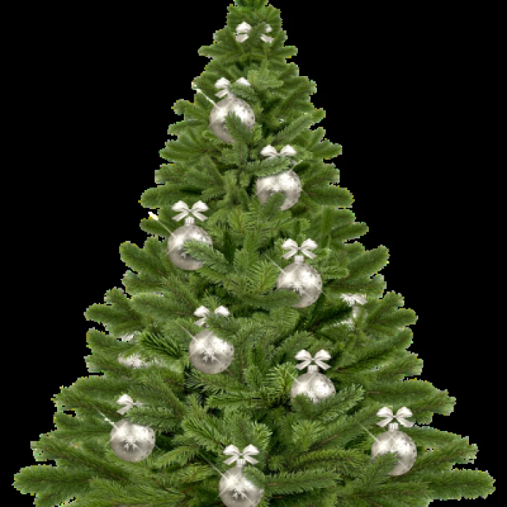 christmas-tree-1853582_960_720