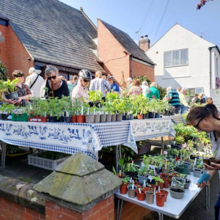 TWT Plant Sale 2023 ba890fe3-5f67-4cbf-896e-5fdc0bdca5ee[374045]