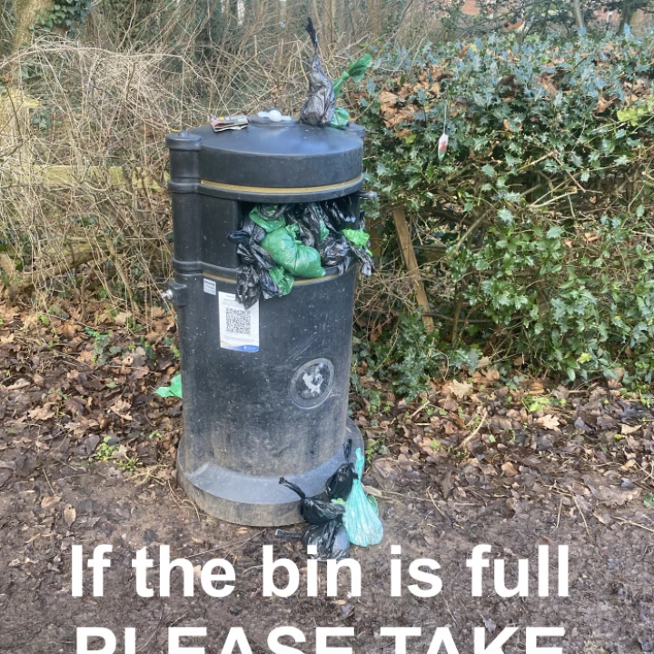 Overflowing Bin Dog waste