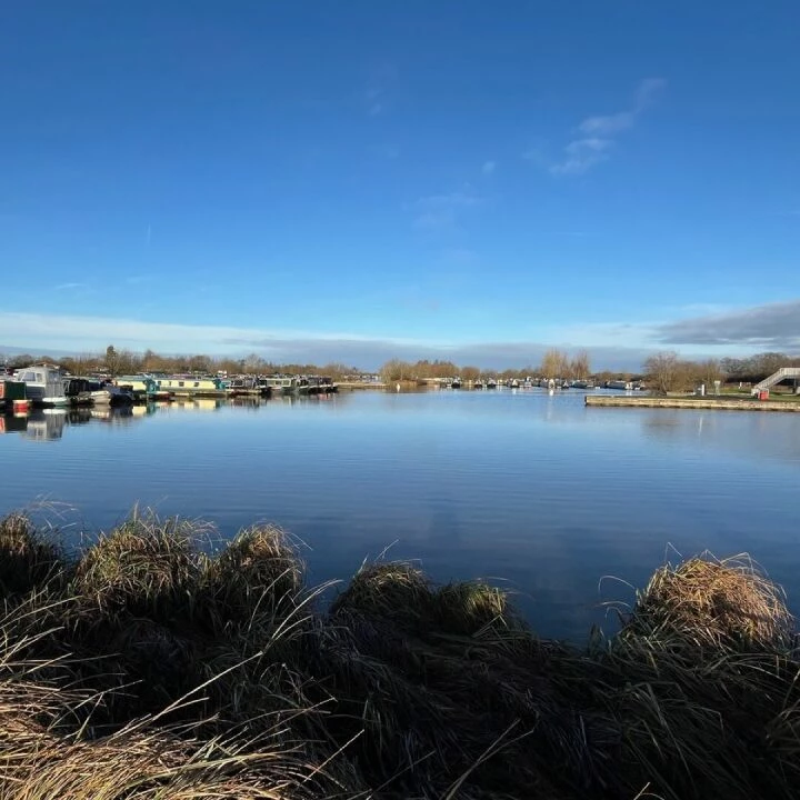 Blue Sky Over The Marina