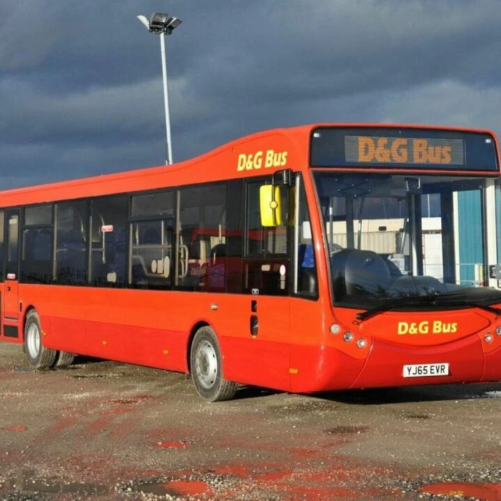 D and G Bus