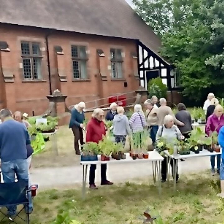 Plant sale