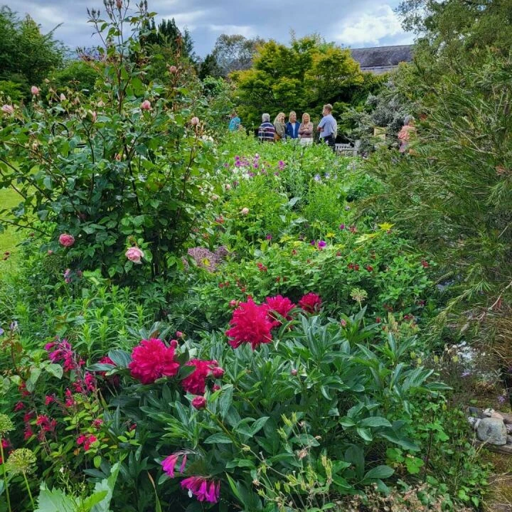 Open garden