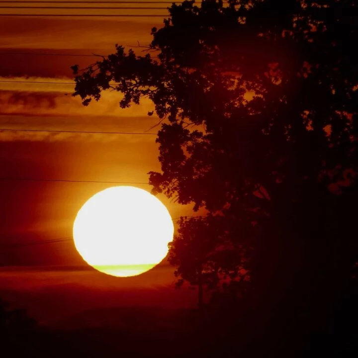 heatwave