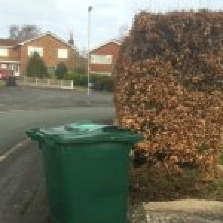 Green Bin