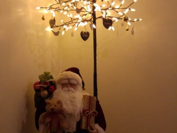 20151221_182910_Burst01_resized