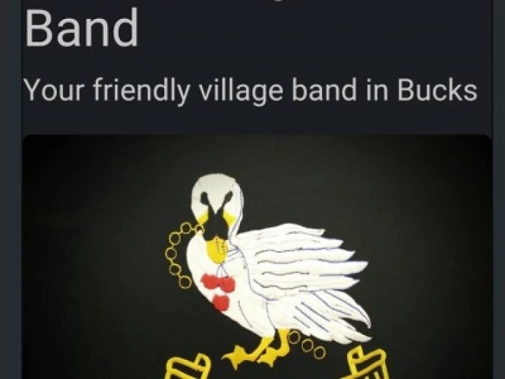 Eboro Silver band