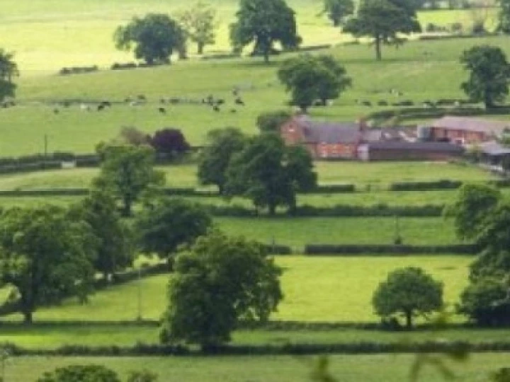 Cheshire-farmland