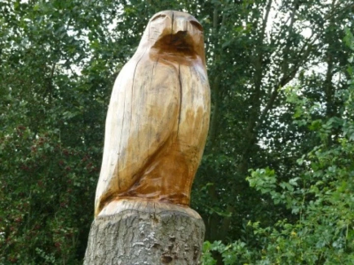 RC Eagle