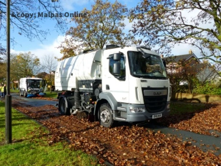 Leaf clearance