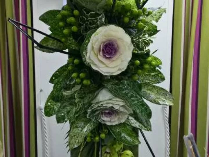Flower Club Jan 2017 Wp_20170111_21_31_06_pro