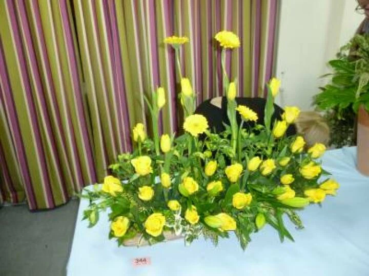 Flower Club Feb 2017 (1)