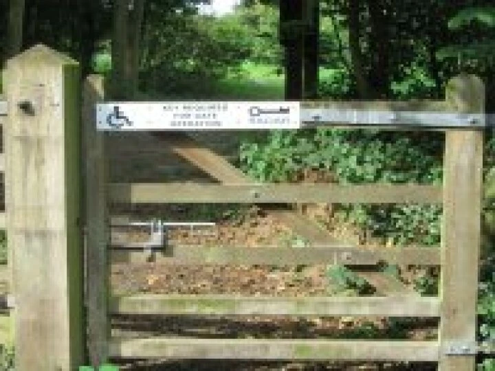 Millennium Garden