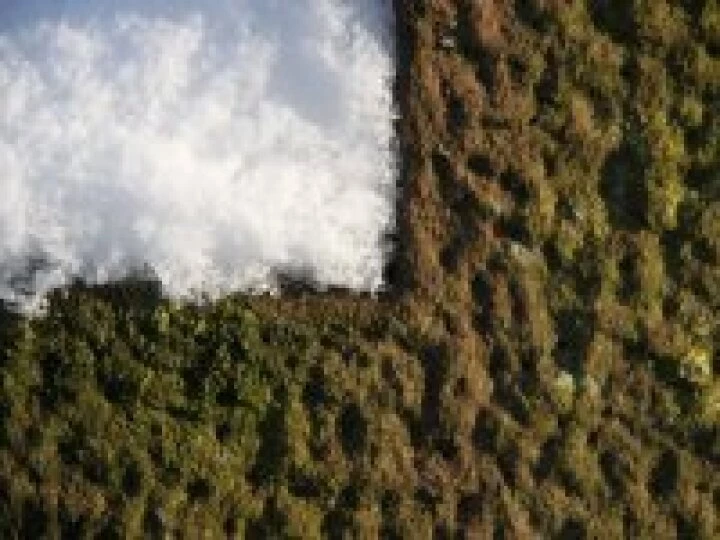 Snow and sandstone