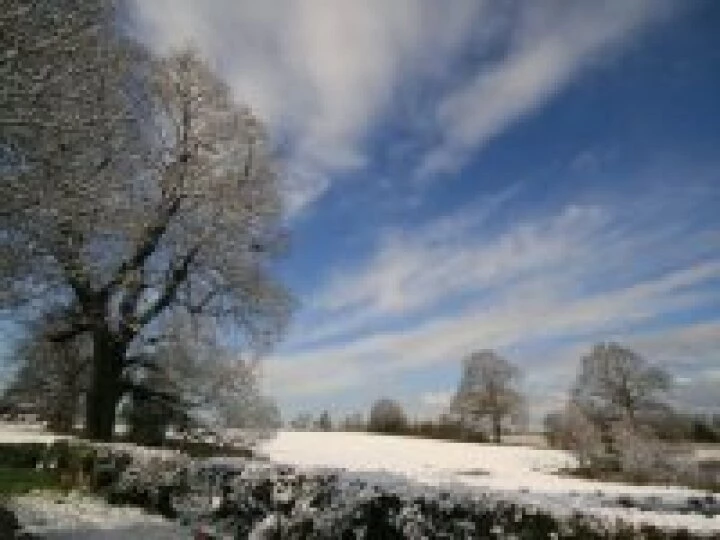 Winter scene
