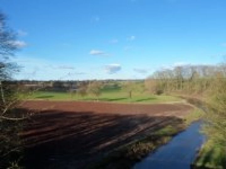 Canal walk January 2013 (7)