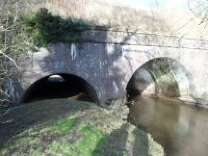 Canal walk January 2013 (11)