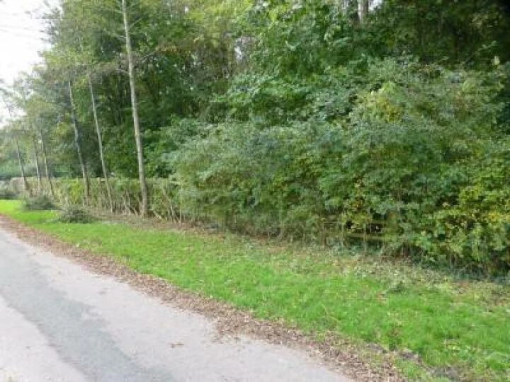 BH Lane