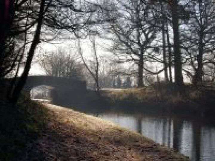 Canal bridge and trees early morning