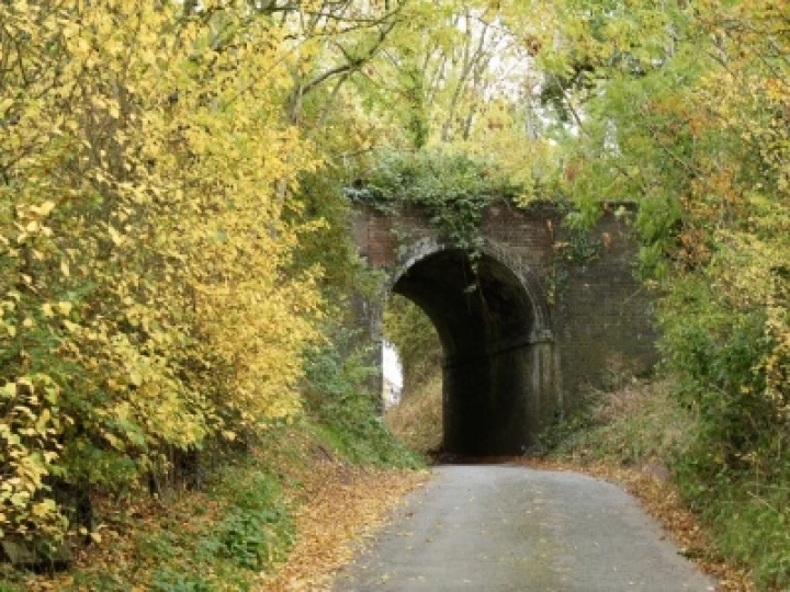 Autumn Audlem