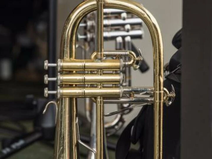 Trumpet Voluntary