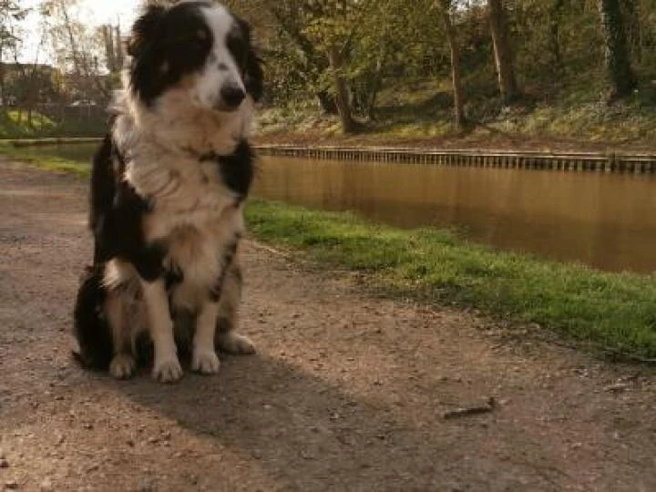 Canal Scenes