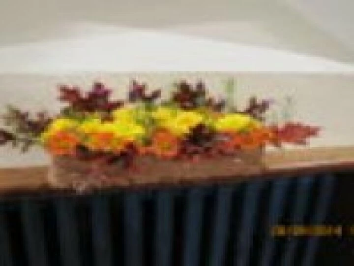 Harvest 5