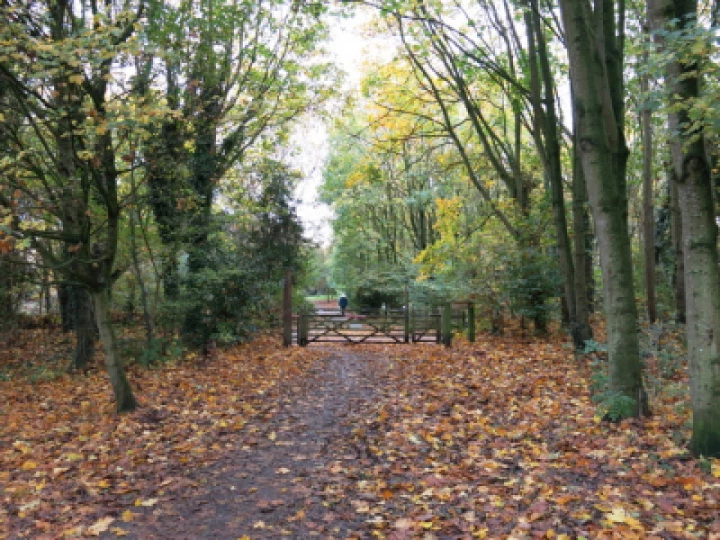 autumn 2