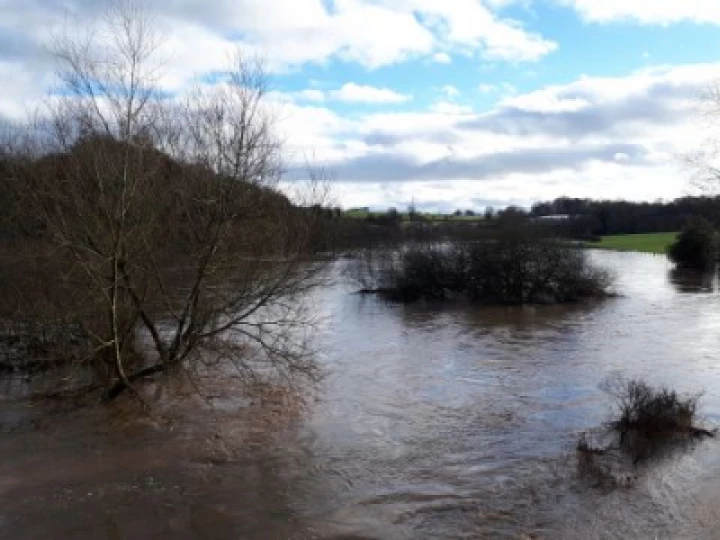 river weaver