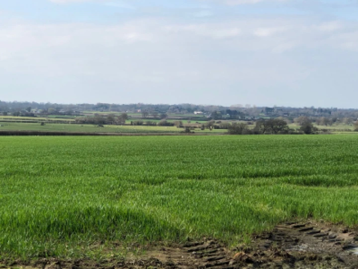 View Over Tarvin