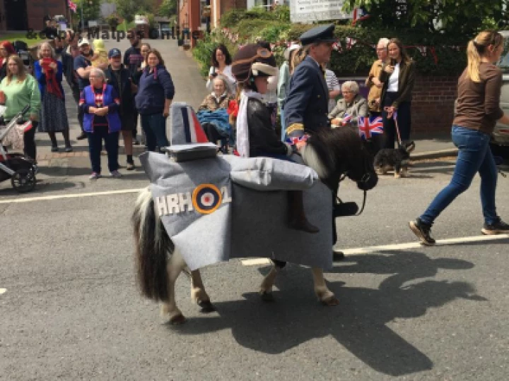 Horse 3
