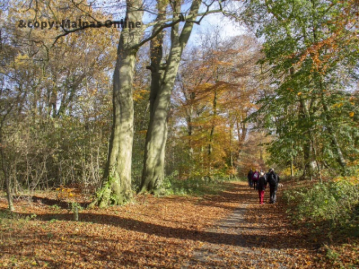 Welbeing Walks 1