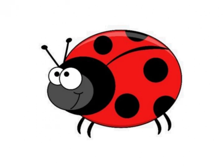 Beetle Drive 2