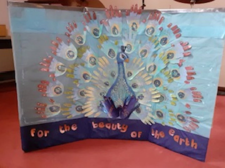 Peacock