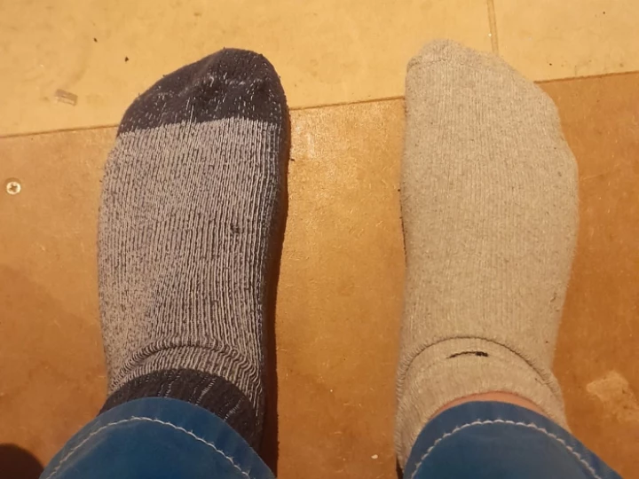 OddSocks2023a