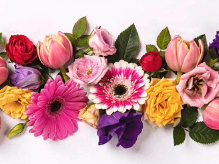 Julie Clark Flowers