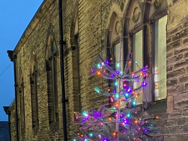 Tree Lightlng 5