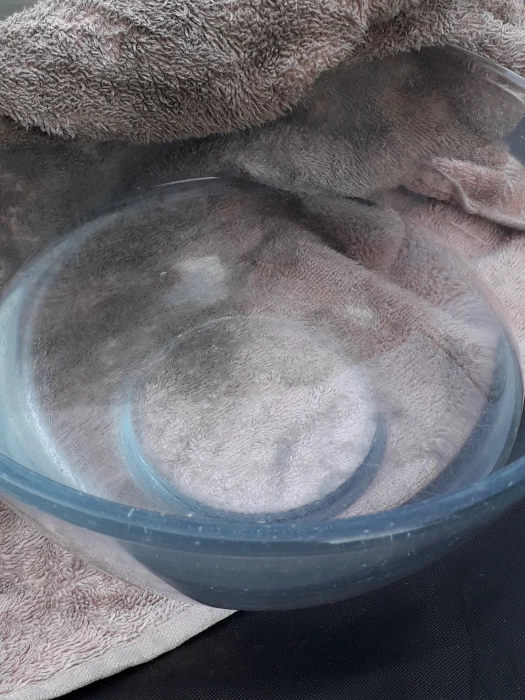 bowl  towel