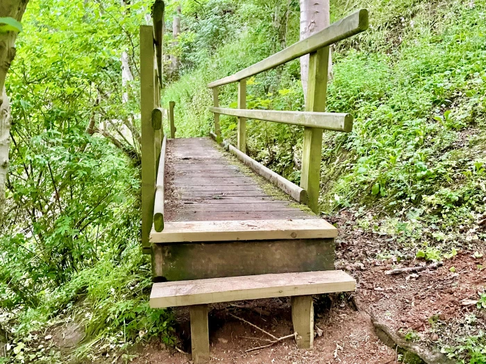 bridge new steps eardswick woods may 2022