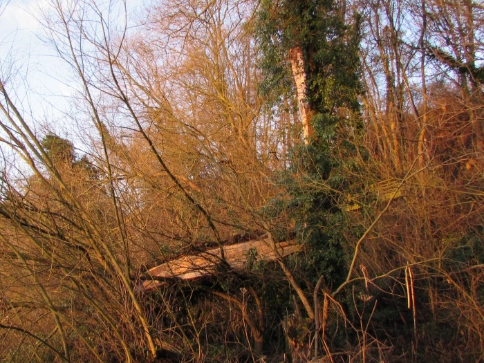broken bough