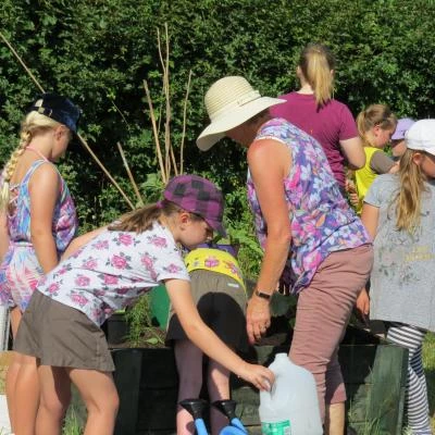 brownies allotment july 2018 10