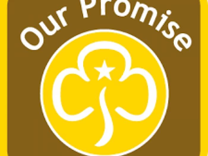 brownies promise